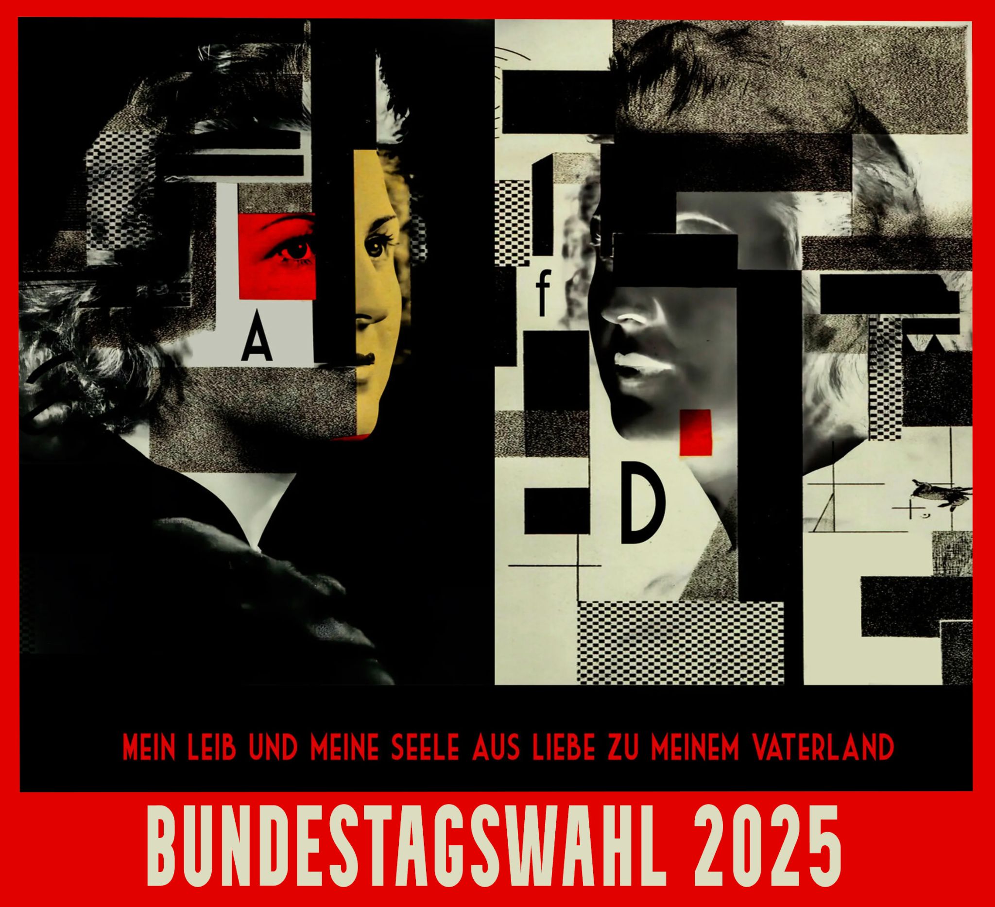 AFD 12 
